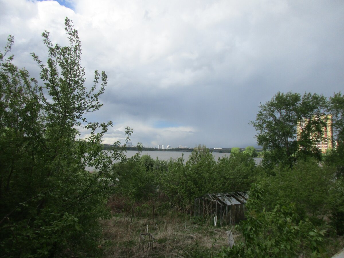 Раньше здесь была берёзовая роща, теперь чьи-то сады...