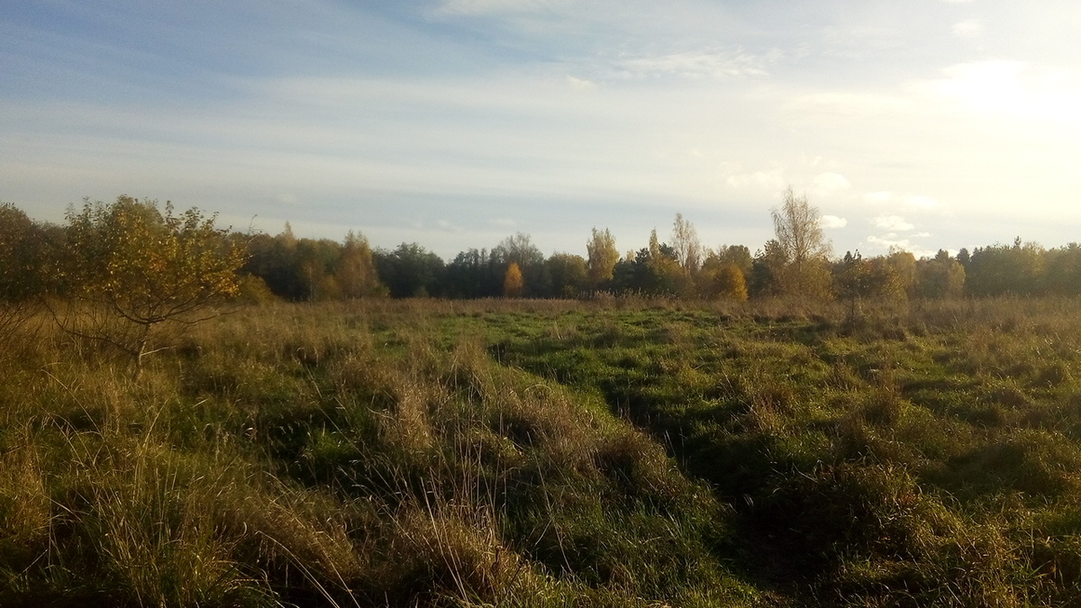 Просто пейзаж