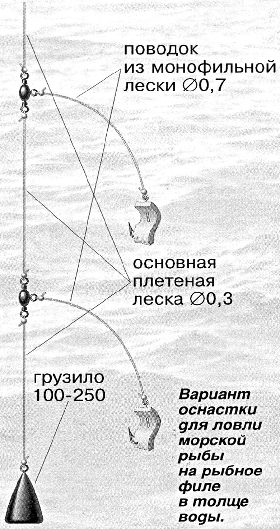 Про осеннюю пеламиду, самодур от капитана и 