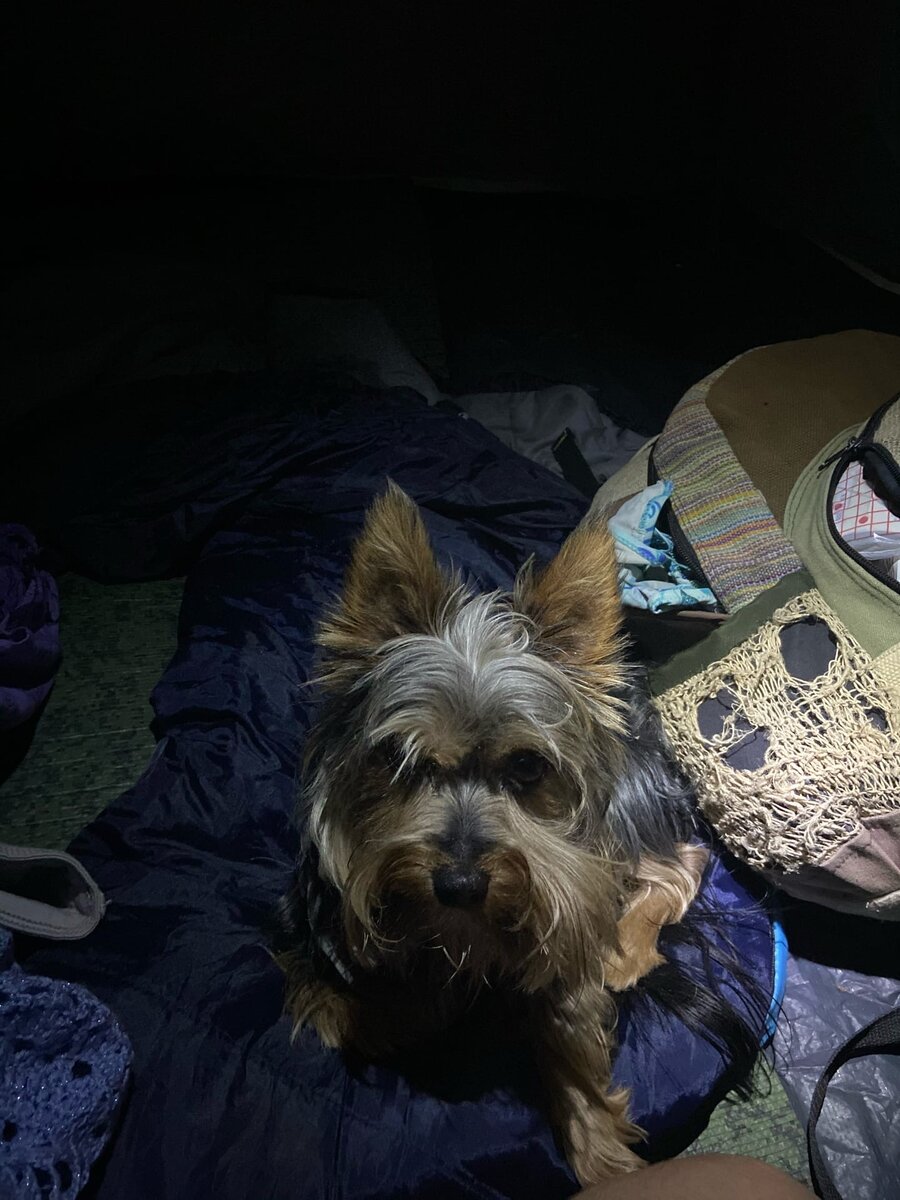 Говорят, животные тоже умеют обижаться...