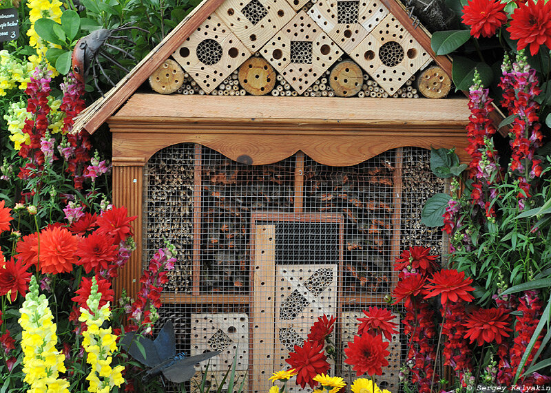 Отель для жуков — садовый домик для полезных насекомых