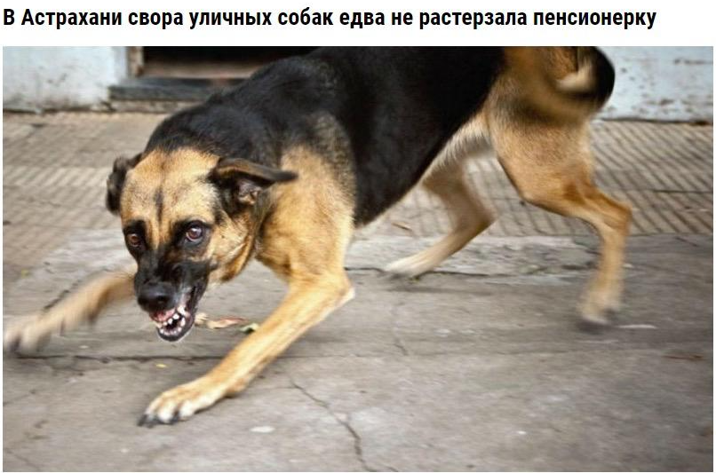 Фото из открытых источников (сайт Яндекс.Картинки).