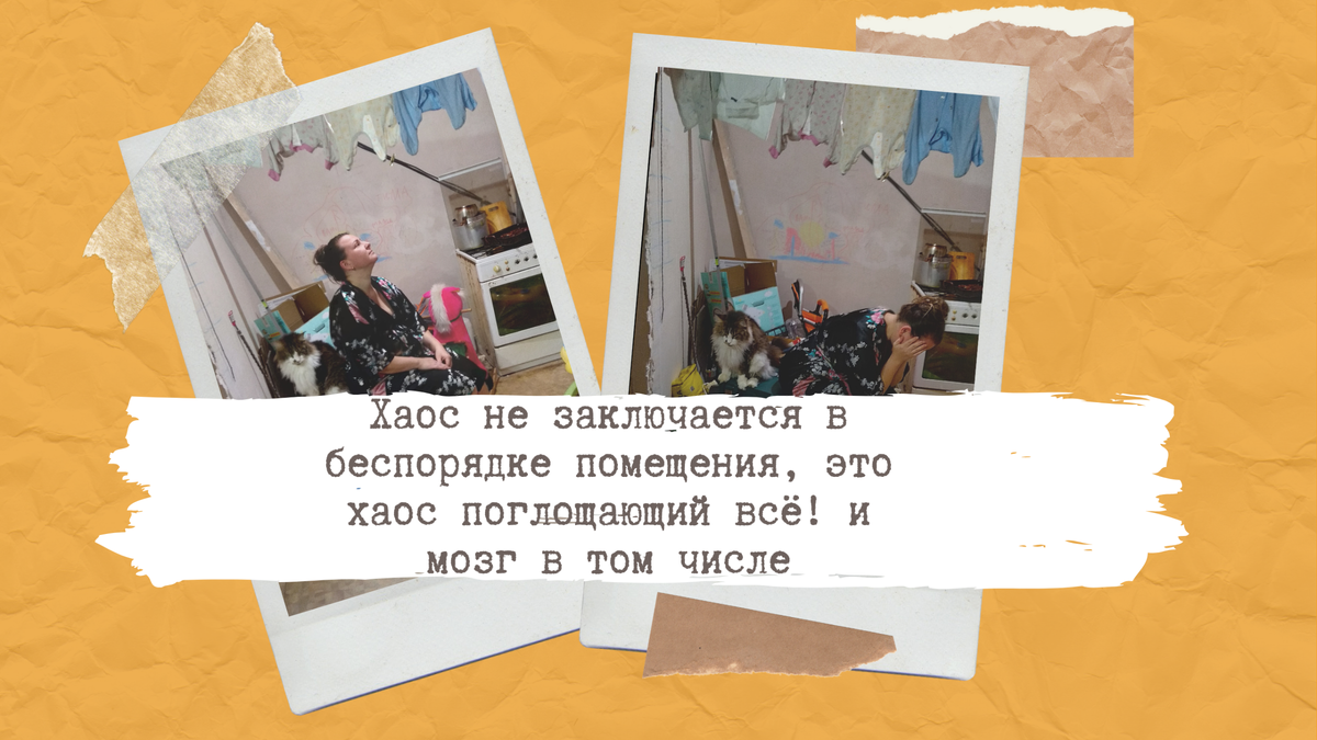 Не поняла ещё, кот  в шоке или начинает привыкать. Да-да, как в коммуналках СССР.