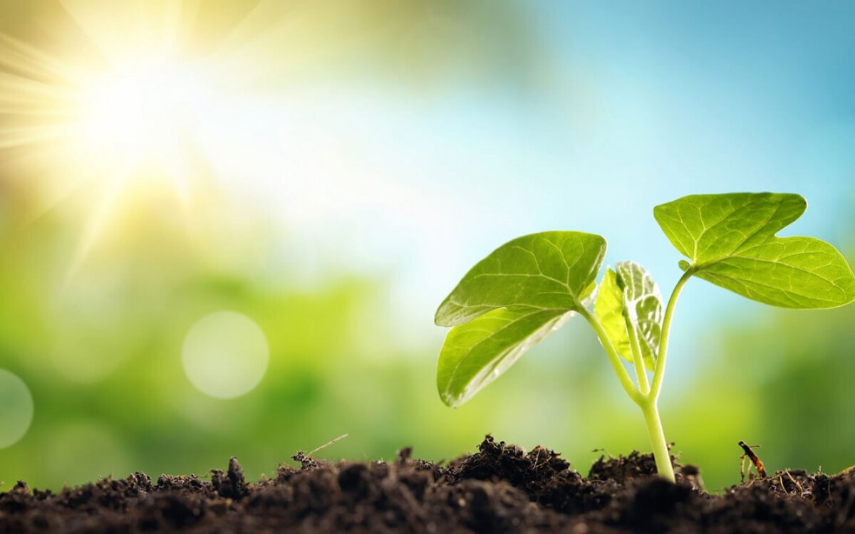 Актуальность экологии в проблемной повестке россиян растет, растет и запрос к государству на решение экологических проблем. Экологических активистов пока немного, рост общественного внимания к экологии носит ситуативный, обычно взрывной характер. Триггером чаще выступает чрезвычайная ситуация либо новое строительство. Признаков политизации экодвижения в федеральном масштабе пока не просматривается, однако молодое поколение относится к экологии более внимательно.