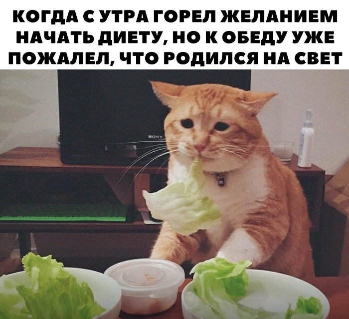 Я every day...