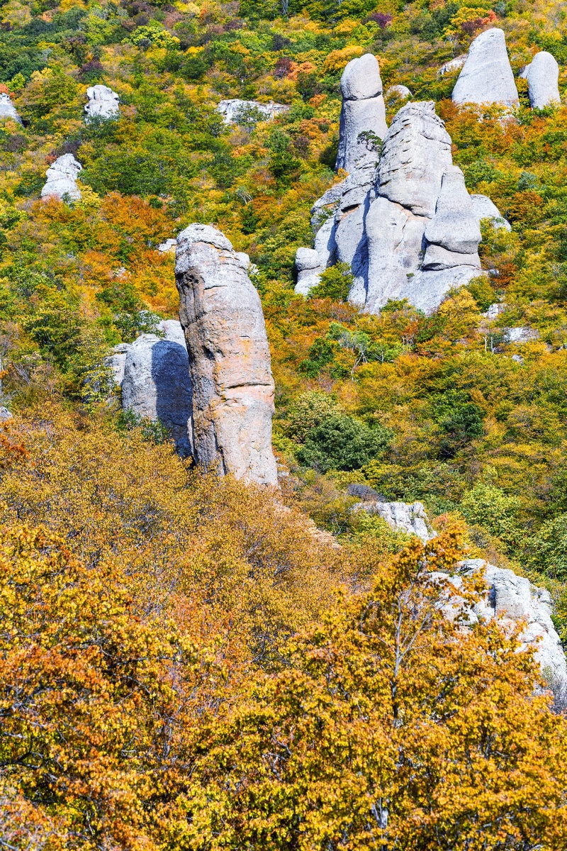 ValKamch
