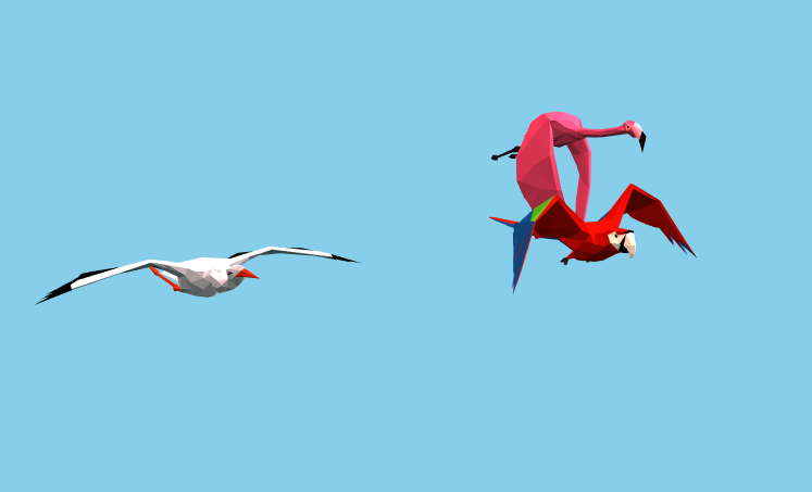 birds