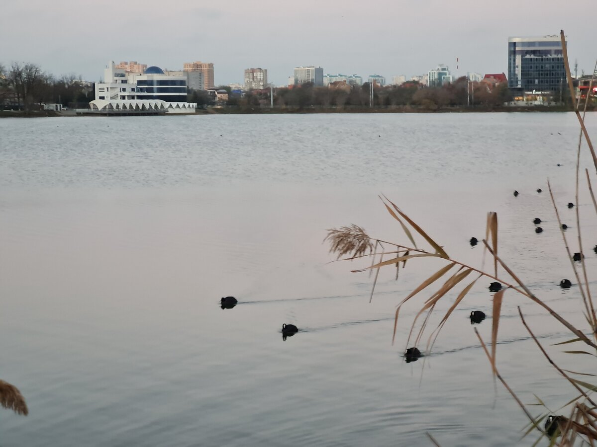 Использован 8 МП телефотомодуль основной камеры Samsung Galaxy S20 Fan Edition - Размер пикселя: 1.0 мкм- F2.4(32°)