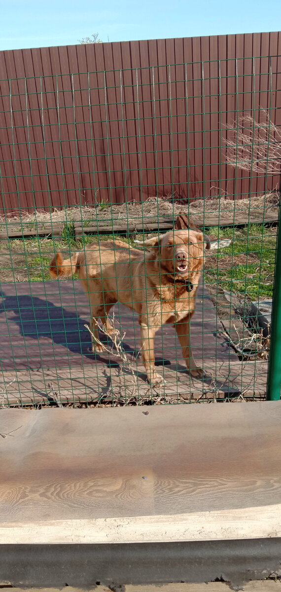 Личное фото. 