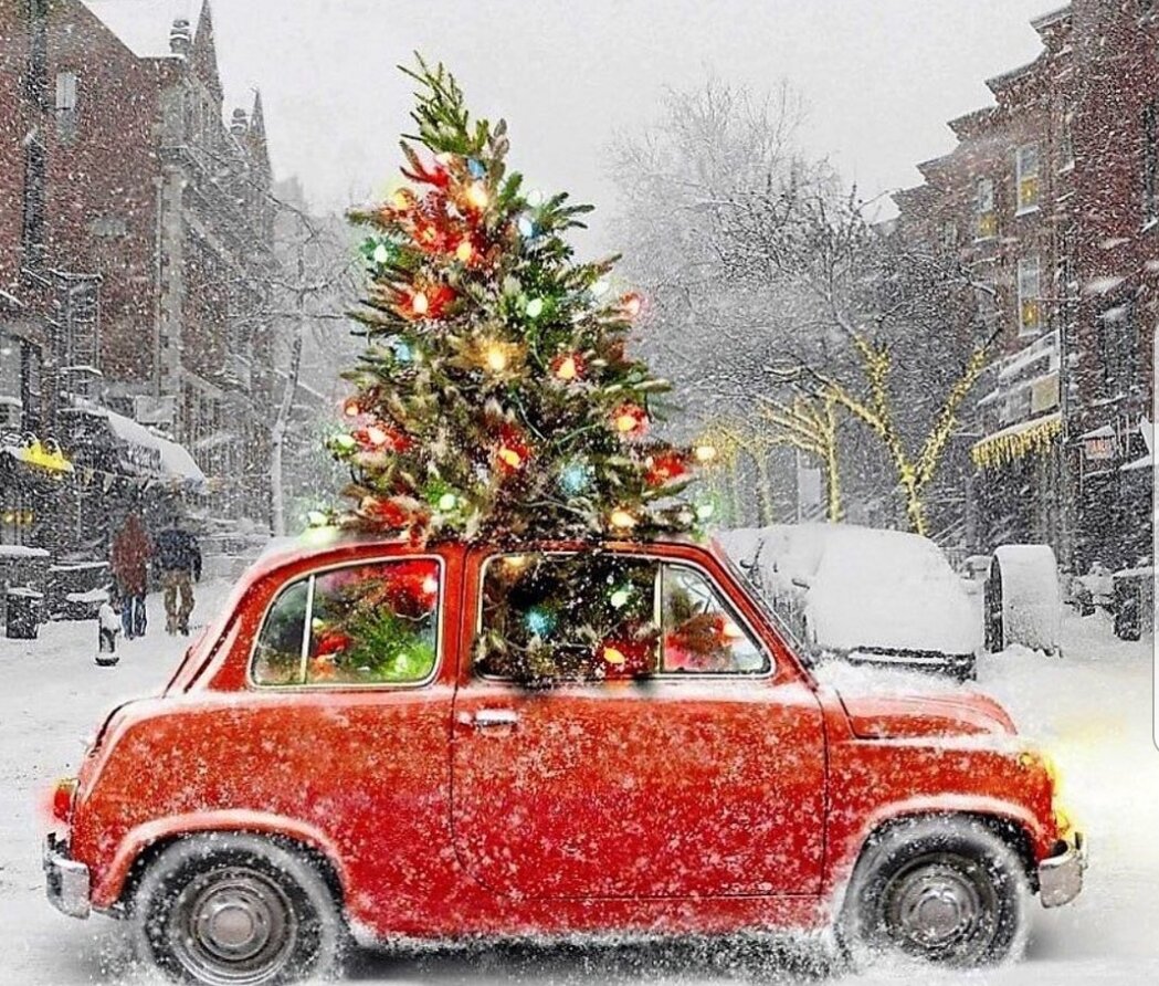 Фото взято с яндекс Картинки