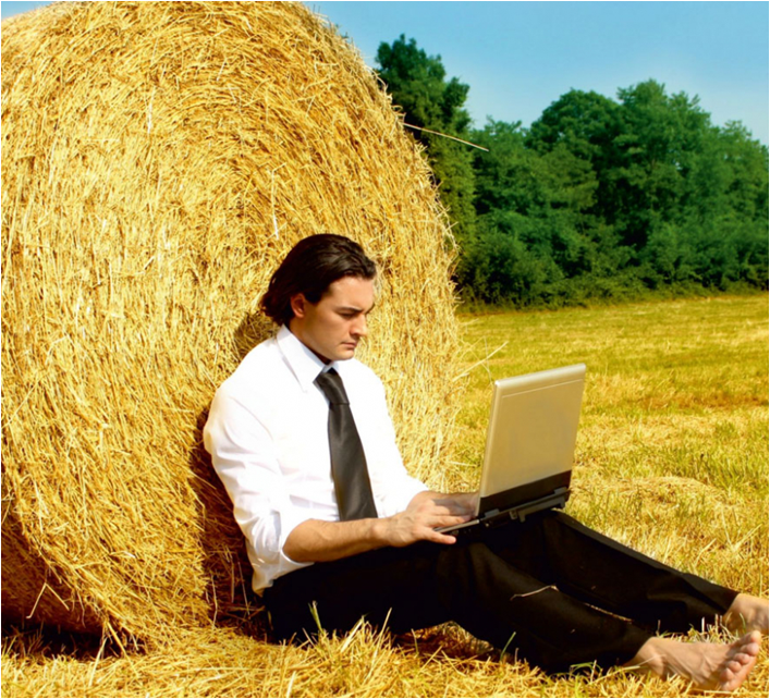 Программирование станет все более популярным, вследствие чего появится много            мошенников, выдающих себя за квалифицированных специалистов, но имеющие заинтересованность только в собственной наживе