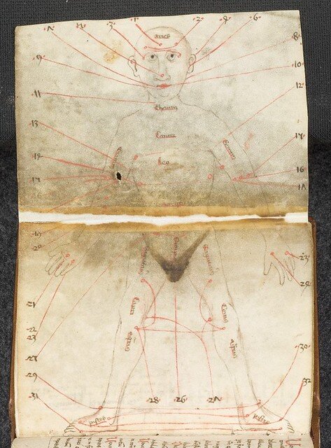 Схема кровопускания из средневекового трактата о медицине 