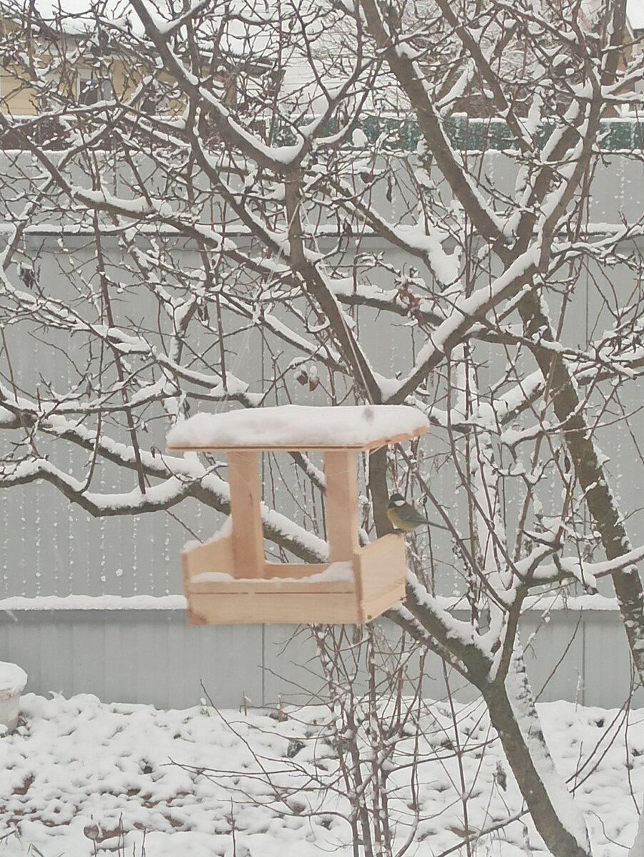 Личное фото творения))