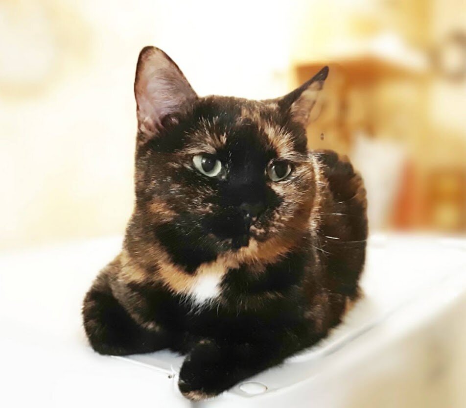 Жульетта собственной персоной)