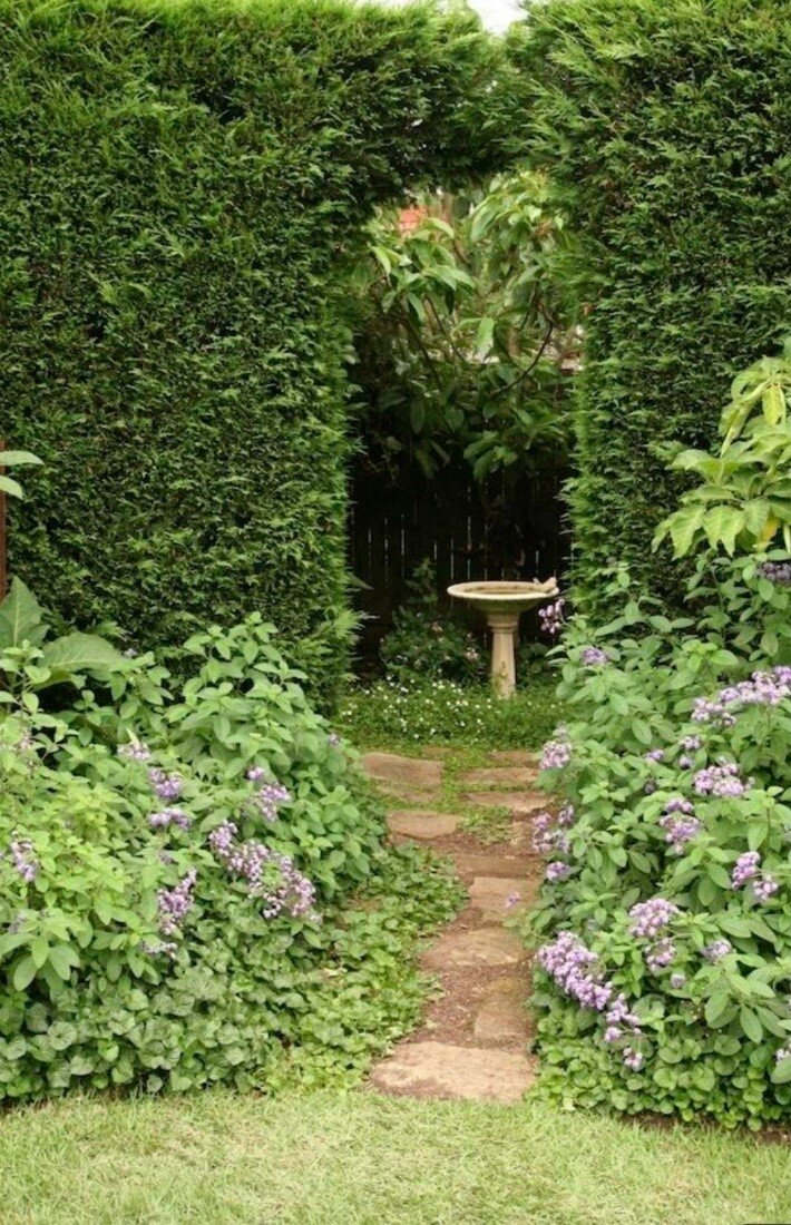 Сад с преобладанием закрытого пространства, интравертный, фото из сети интернет