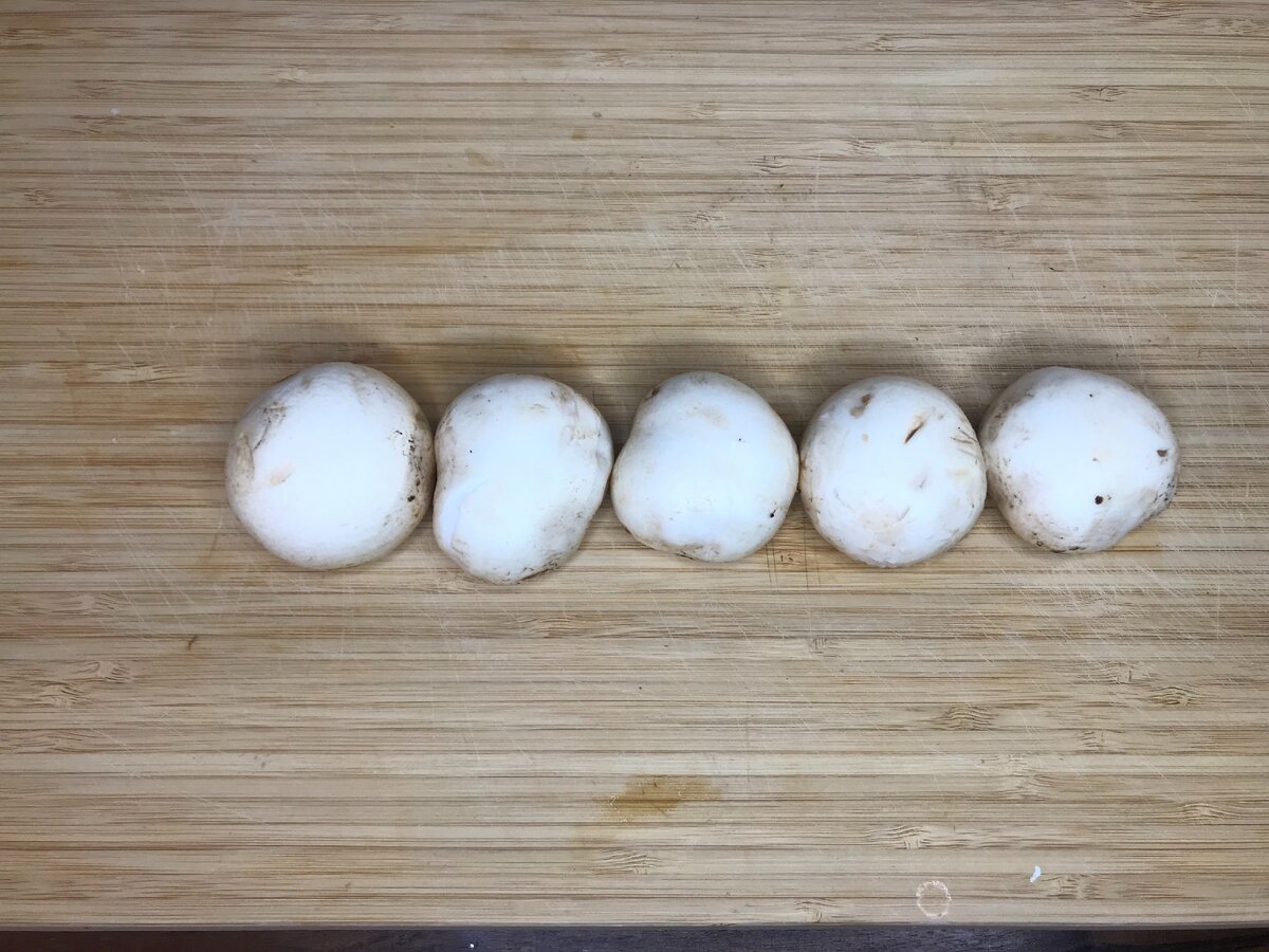 Любимые шампики