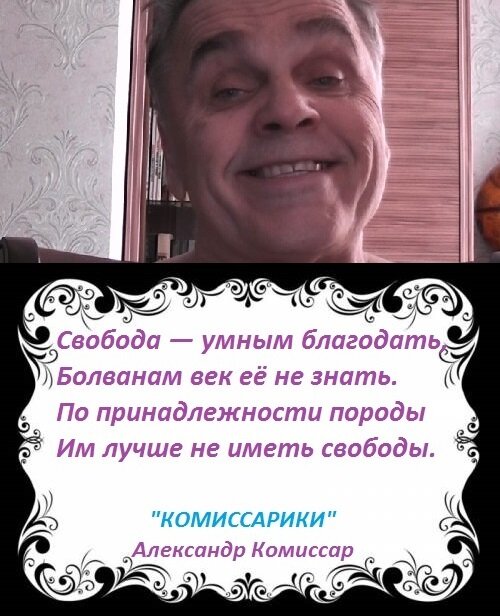 Комиссарики в рамке.