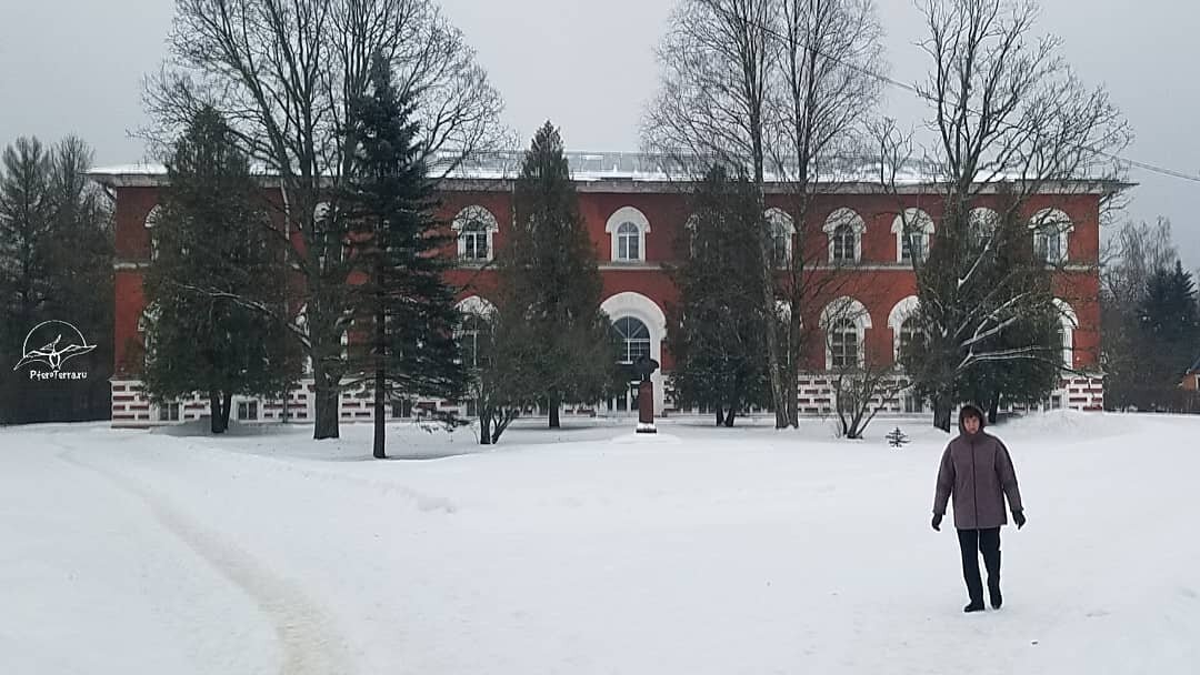 Лисинский лесной колледж