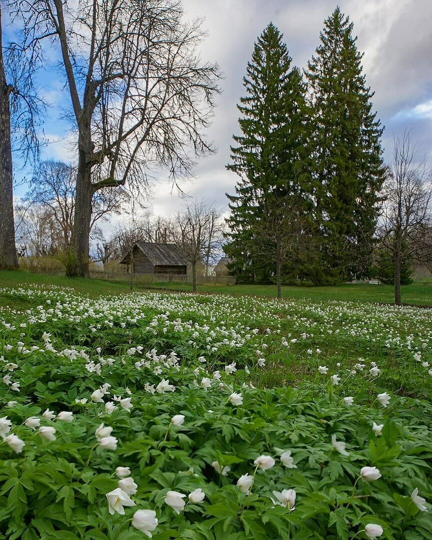 красивые фото весны в россии