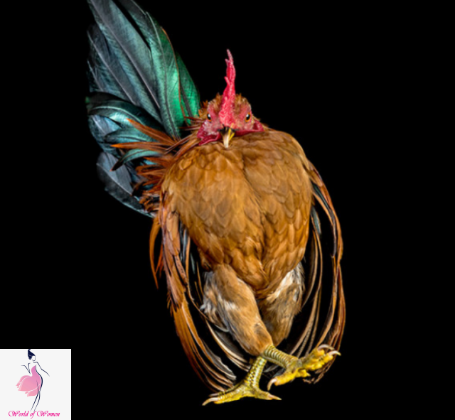 Фото с сайта https://worldofwomen.club/