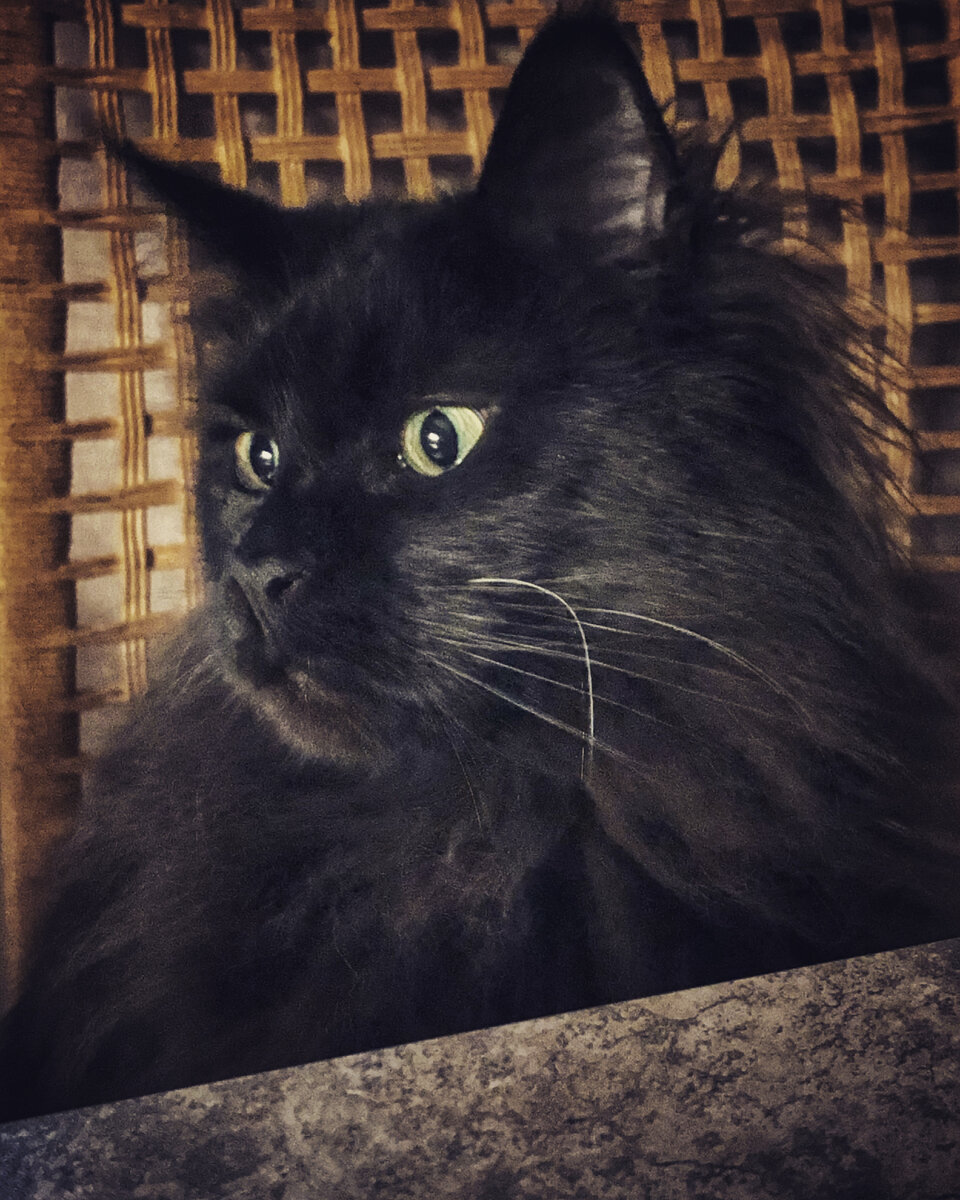 офигела от моих рассказов)