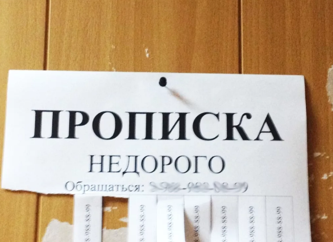 фото из интернета