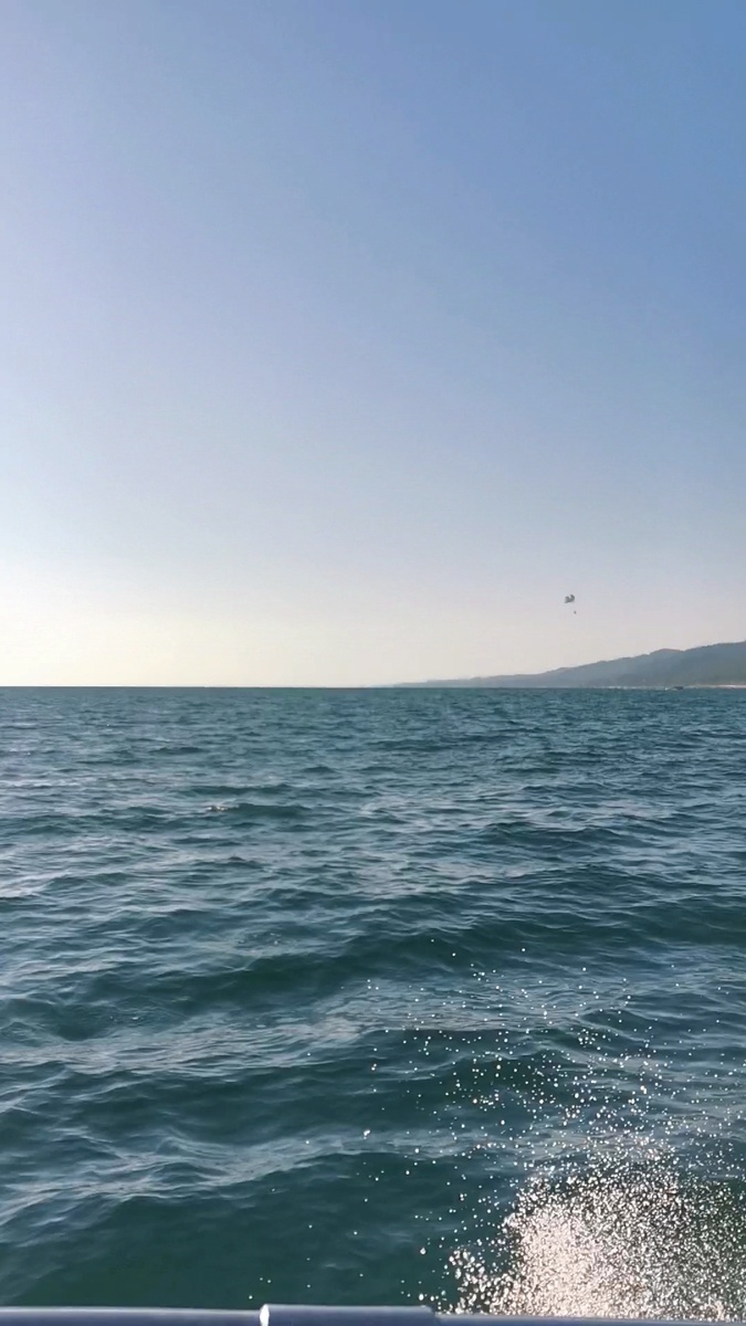 Морские прогулки