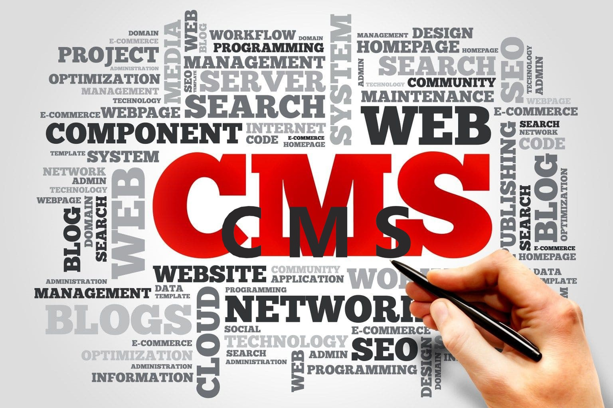 Tech guide. Система слово. Cms photo. Cms xususiyatlari