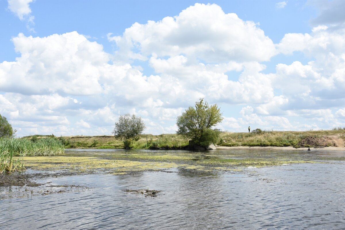 Река в курской области 5 букв. Река Сейм Курск. Курский край река Сейм. Сейм Курск река Анахино. Рыльск Сейм пляж.