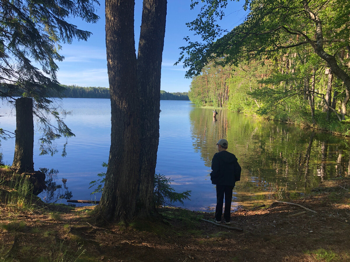 Отличное место для потери телефона