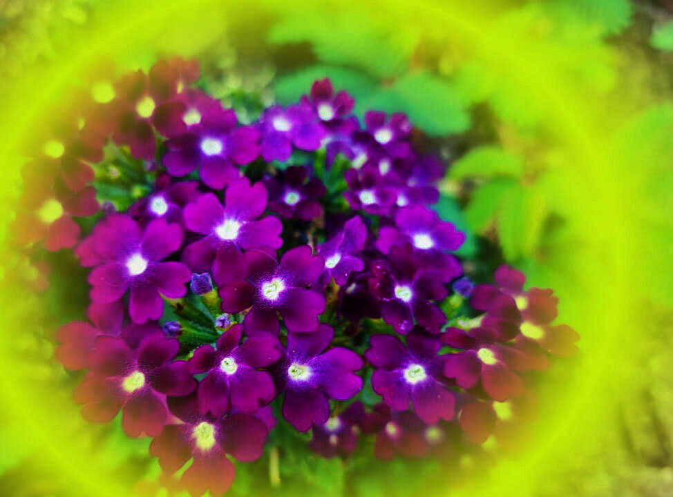 фото автора канала