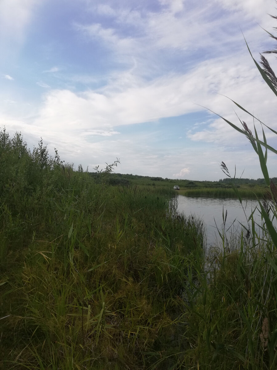 В июле тут запускали воздушных змеев. В конце августа ездили на пикник сюда же