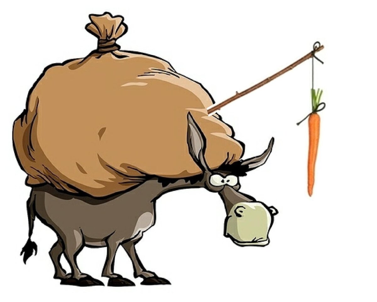 Глаза ослика скажут вам обо всём. 