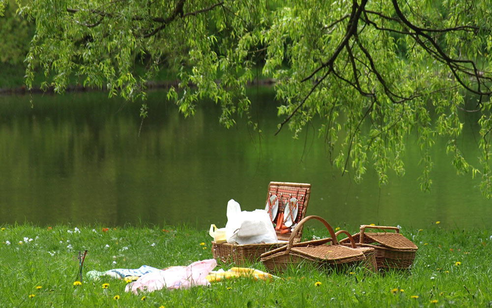 Источник фото: Яндекс.Картинки 