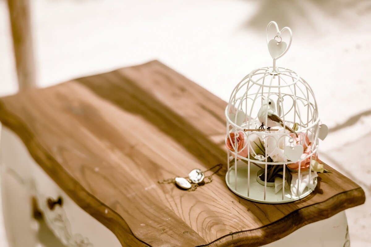 Фото из Яндекс.Картинок 