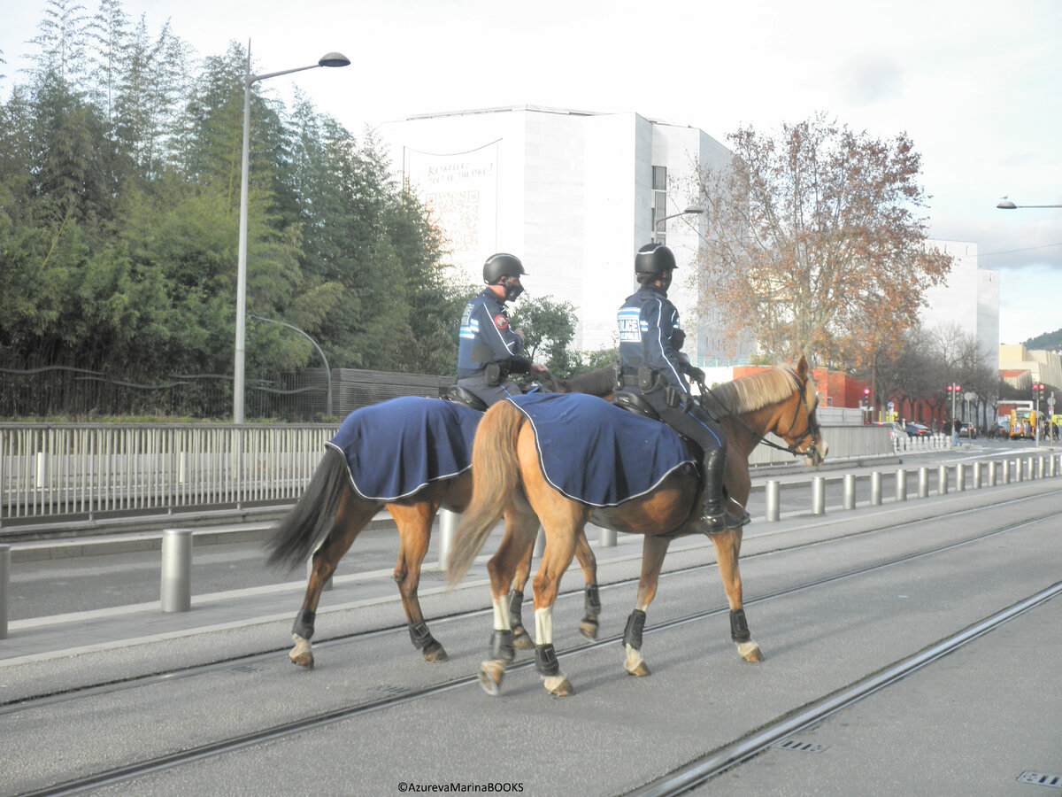Конная полиция в центре французского города 