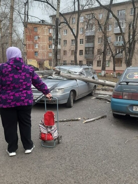     Фото: ВКонтакте / ЧП Кузбасс