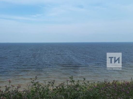     Фото: ИА "Татар-информ"