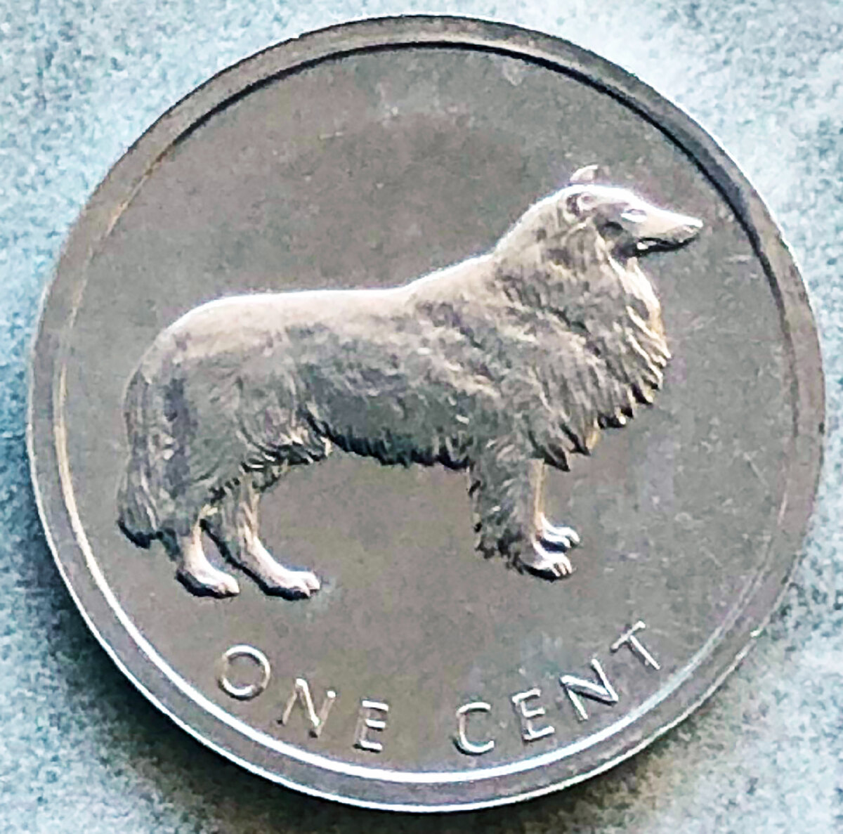 Кука острова 1 цент колли. Фото автора.