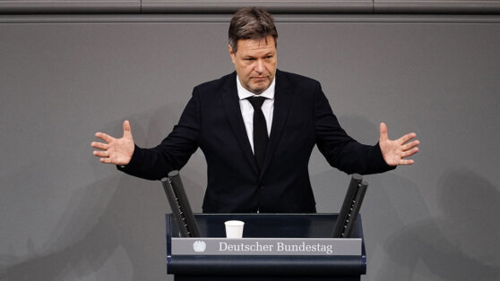    Министр экономики ФРГ пообещал Украине продолжить поставки вооружений Алина Городниченко