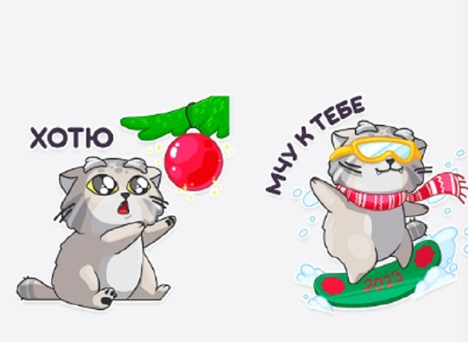     В Telegram появились стикеры с манулом из Новосибирска. Фото: Manul_nsk.