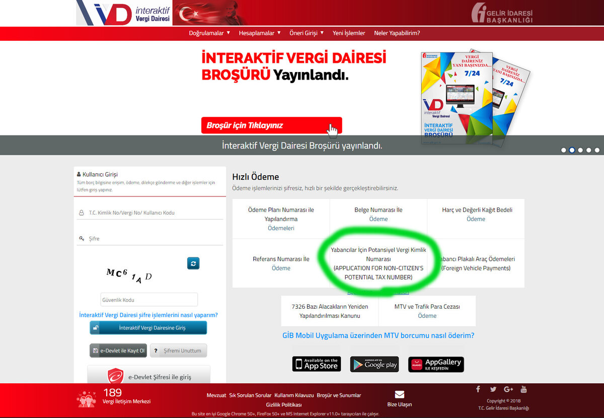Страница налоговой службы Турции для получения ИНН.