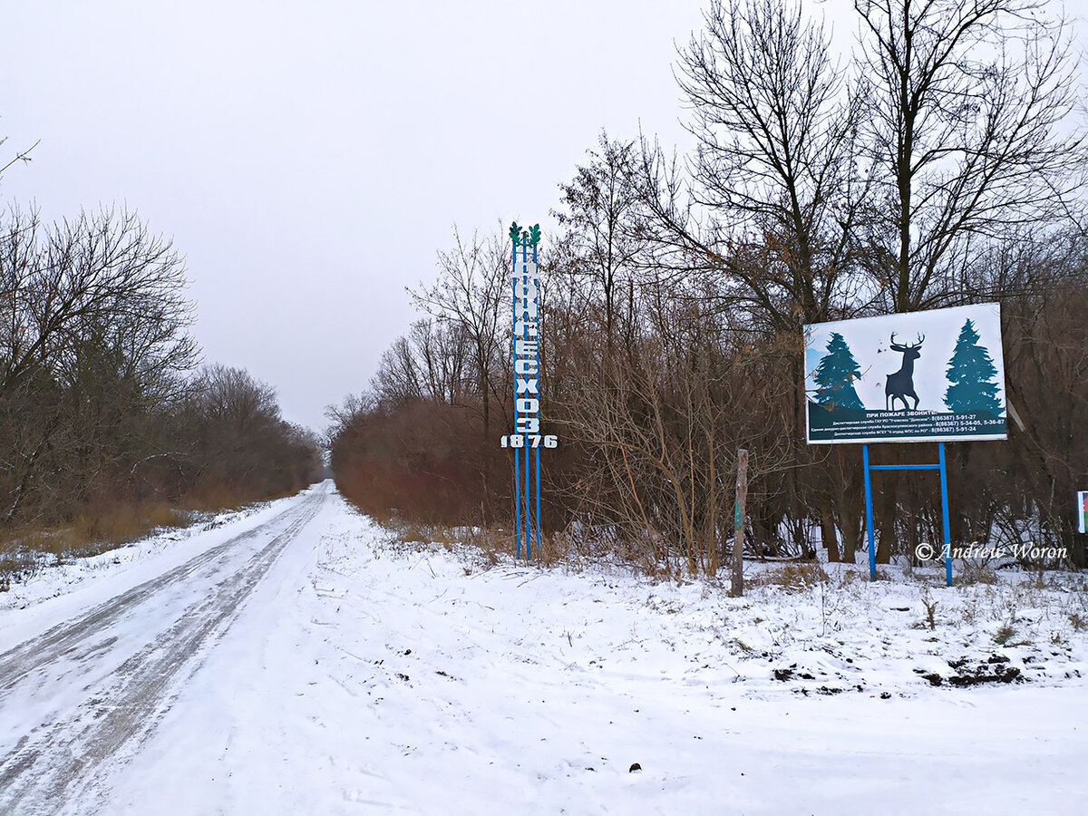 Хотя я многократно бывал в Лесхозе, но указатель на въезде со стороны трассы увидел впервые. Ведь обычно я вхожу в поселок и лес со стороны железной дороги