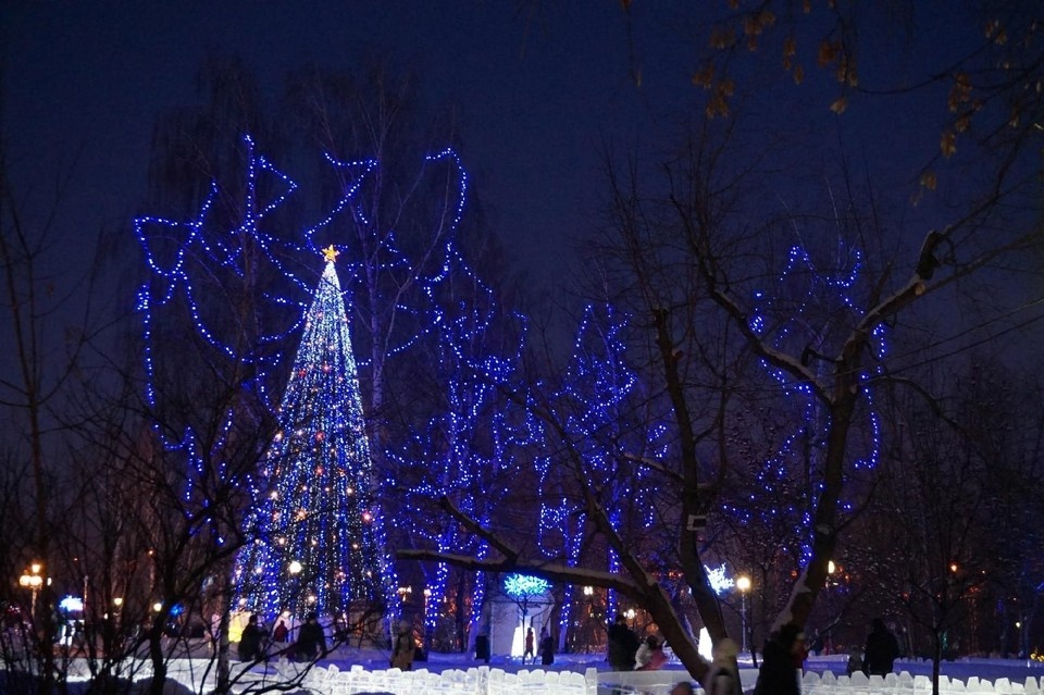   Анна Ковалёва