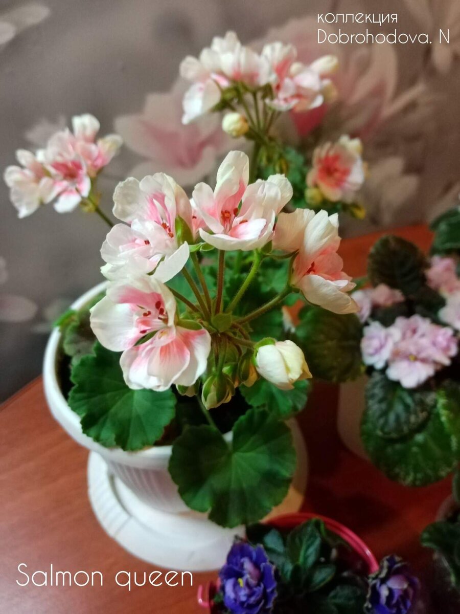 из личного альбома автора