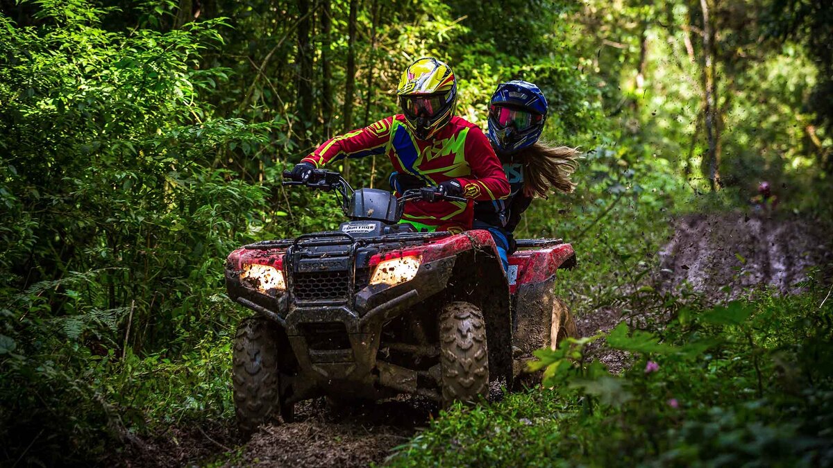    Насладитесь природными красотами и получите порцию адреналина от катания на квадроцикле.Фото: unsplash.com