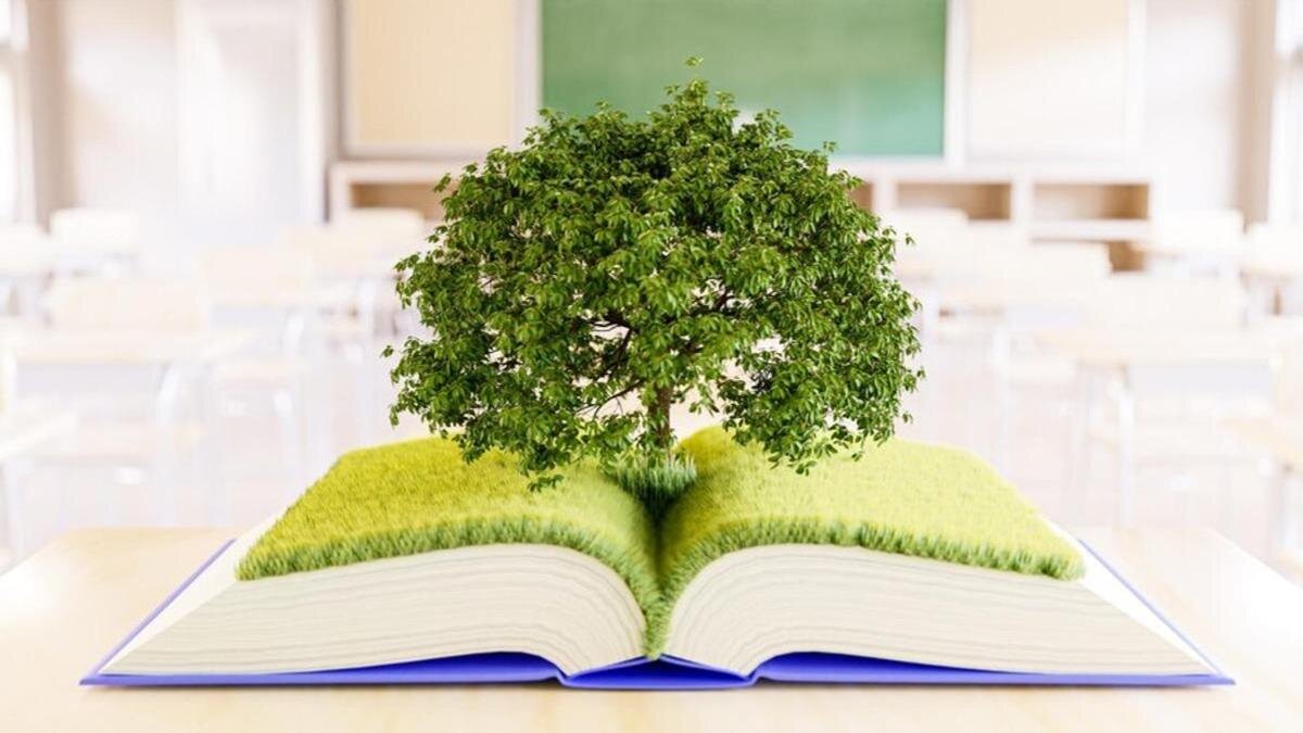    Дерево растет из книги:Freepik