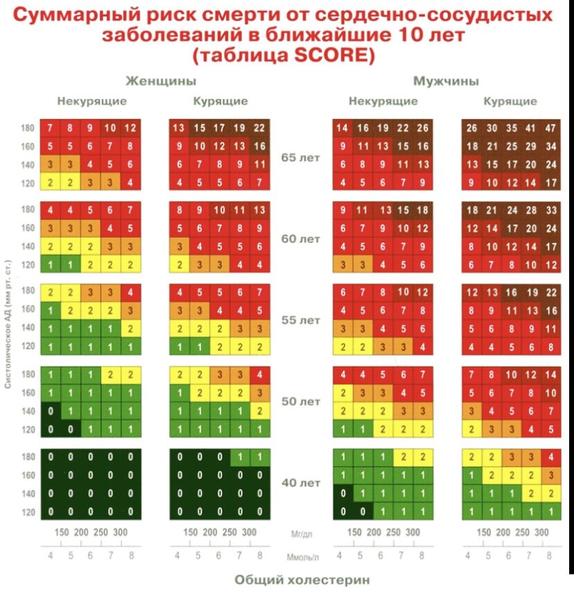 Сосудистый риск по шкале score