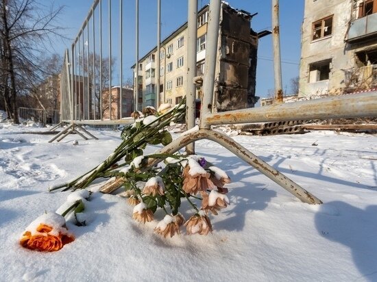     Фото: Густаво Зырянов / МК в Новосибирске