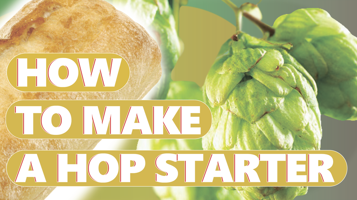 How to make a hop starter.
